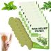 Gobesty Pain Relief Patch Knee 80 pieces Wellnesstic Pain Paving knee pain relief patch pain relief plaster for knees back neck sore muscles