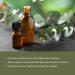 Eucalyptus Essential Oil from Bio-Young Aromas in China - Eucalyptus Essential Oils for Skin and for Diffuser - Aceite de Eucalipto (15ml) Eucalyptus 0.5 Fl Oz (Pack of 1) - Buy Online on GoSupps.com