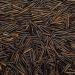 Wholefood Earth Organic Wild Rice 1kg - GMO Free, EcoSocial, Vegan | Raw, High in Fiber & Protein | Certified Organic - Buy Online on GoSupps.com
