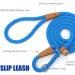 Buy Lynxking Tow Lines for Dogs - Retractable Leash for Small to Large Breeds (1.3cm x 240cm Blue) - International Shipping Available - Buy Online on GoSupps.com