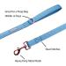 Lionet Paws Dog Leash - Stylish Silk Leash for Small Medium & Large Dogs | Matching Collars Available | Blue XS Leash (Pack of 1) - Buy Online on GoSupps.com