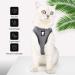 Lianzimau Cat Dishes & Ultra Light Adjustable Running Vest for Kittens & Puppies - Soft Padded Escape Protection Jacket (1 Pack) - New Gray - Buy Online on GoSupps.com