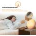 Wake Up Light Alarm Clock - Sunrise & Sunset FM Radio 7 Sounds Dual Alarms Night Light for Adults & Kids - Buy Online on GoSupps.com