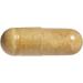 Natural Factors Milk Thistle 150mg - 90 Capsules | Herbal Liver Support - Buy Online on GoSupps.com
