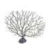 QUETHEDS Faux Coral D cor Artificial Coral Branch D cor Sea Fan Coral Decorations Aquariums Ornament Fish Tanks Landscape Sea Fan Coral Decorations Black Small