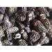 WENXUANSU:1 Pound (454 grams) Dried Morel Mushroom Premium Grade from Yunnan China