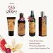 Di Palomo Wild Fig & Grape Bath & Body Gift Set - 8 oz Lotion & Shower Gel - Buy Online on GoSupps.com