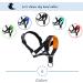 ILEPARK Adjustable Dog Halter - Padded Fabric Neck Band for Comfort | Size L - Orangegelb - International Shipping - Buy Online on GoSupps.com