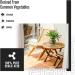 Real Milk Paint Oxalic Acid Wood Bleach - 16 oz | Stain & Iron Remover for Wood - Buy Online on GoSupps.com