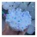 Natural Crystal Cluster Plated White Crystal Cluster Reiki Stone Crystal Tip House Decorative Specimens Crude Mine 1pc