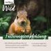 Aniforte Wildly Species-Appropriate Squirrel Food 1kg - Premium All-Year-Round Diet with Extra Hazelnuts | Expert-Developed Nutrition for Squirrels & Stripe Horns - Buy Online on GoSupps.com