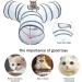 Cat Tunnel Bed 3 Way Cat Tunnel Cat Tunnels for Indoor Cats large Cat Toy Tunnel with Cat Feather Toy Collapsible Pet Toy Crinkle Tunnel Tube for Kitten Rabbits Hamster Small Dogs(as shown) - Buy Online on GoSupps.com