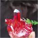 Red Quartz Titanium Bismuth Silicon Rainbows Natural Stones and Minerals Raw Stones and Minerals Home Goods - Buy Online on GoSupps.com
