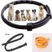 Syang Tick Collar for Dogs & Cats - 2-Pack Fluorescent Parasite Prevention Collar 8-Month Protection Universal Fit (Yellow & Black) - Buy Online on GoSupps.com