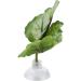Betta Fish Hammock | Green Leaf Bed for Betta Fish | Perfect Aquarium Accessory - Buy Online on GoSupps.com