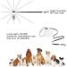 Buy Philorn 5m Reflective Retractable Dog Leash - Flexible Non-Slip Handle One-Button Lock for Medium to Large Dogs up to 50kg - International Shipping Available - Buy Online on GoSupps.com