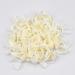100pcs HQdeal Nail Display Swatch Sticks for Gel Polish Practice - Natural Color - Buy Online on GoSupps.com