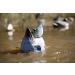 MOJO Outdoors Duck Hunting Motion Decoys - Butt Up Rippler - Buy Online on GoSupps.com