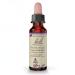Bach Original Flower Remedies, Water Violet (Non-Alcohol Formula) - Connect with Others - Natural Homeopathic Flower Essence for Emotional Balance - Vegan, Gluten Free, Sugar Free - 10mL Dropper