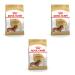 Royal Canin Adult Dachshund | Pack of 3 | 3 x 500 g | Complete Food for Dogs | Specially designed for Adult Dachshunds | Can Help Protect Bones and Joints