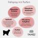 TAMEI BIO Fellspray for Dogs - Organic Combing Aid & Care - Vegan Fur Smooth & Vitalizing - 100ml - Buy Online on GoSupps.com