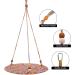 Tocwick Reptile Hammock Swing Bed - Cute Bearded Dragon Toy for Leopard Gecko & Small Animals - Cotton Lizard Summer Bed - Reptile Cage Accessories - Buy Online on GoSupps.com