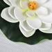 Buy Vectexi Artificial Plastic Lotus Flowers - Floating Water Lily Ornaments for Aquarium & Pond - Set of 3 White - Buy Online on GoSupps.com