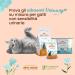 Almo Nature Multipack Holistic Urinary Help - 6 Pack Wet Cat Food (3 Fish 3 Chicken) - Optimal Nutrition for Adult Cats - Buy Online on GoSupps.com
