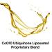 CodeAge Wonder Heart Liposomal CoQ10 - Raspberry Flavor, 30 Pouches, 0.3 fl oz Each - Buy Online on GoSupps.com