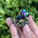 Natural Crystal Natural Quartz Rainbow Titanium Cluster Crystals Stone for Specimen Decor Gift ERBDRGAZ (Size : 15g) - Buy Online on GoSupps.com