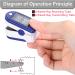 UPGRADE Pulse Oximeter - Oxygen & Heart Rate Monitor for Adults & Children - Large LED Display - Buy Online on GoSupps.com