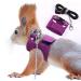 Adnikia squirrel traction rope strap Anti-bite chain rope adjustable vest small animal slab with leash hamster racing mice rats mice ferret small animals walks violet