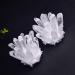 Crystals Natural White Crystal Cluster Quartz Crystal Health Reiki Stone Raw Point Specimen Home Decor Raw Crystals 1pc Stone Collection (Size : 150-250) - Buy Online on GoSupps.com