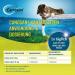 Buy Boehringer Ingelheim Canosan Cat 3 Pack | 3 x 30 Chewing Tablets 600mg | Joint Support Supplement for Cats - Shop Now! - Buy Online on GoSupps.com