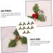 Zerodeko 60 Pcs Small Golden Fruit Green Leaves Red Christmas Plug-in Plastic Golden+redx3pcs 13.5X13.5X2.5CMx3pcs - Buy Online on GoSupps.com