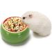 Hamster Bowls 2 Pack Hamster Bowl Ceramic Prevent Chewing hamster feeding bowl Guinea Pig Hamster Water Bowl Small Animal Food Dish for Syrian Hamster Rabbit Gerbil Chichilla Hedgehog Sugar Glider Rat Green Orange - Buy Online on GoSupps.com