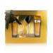 META-BOSEM Women's Fragrance Set - Sweet Floral Note - Fresh Scent - Great Holiday Gift - for All Day Use - a High-Heel Classic Bottle (90ml Shower Gel+50ml EDT+90ml Body Lotion) (Prinss Gold) - Buy Online on GoSupps.com
