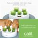 Catit Senses 2.0 Digger 1 Green White - Interactive Cat Toy for Natural Hunting Instincts - Buy Online on GoSupps.com
