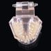 LBYLYH Orthodontic Demonstration Model - Teeth Teaching Tools with Metal & Ceramic Support for Effective Dental Treatment - Buy Online on GoSupps.com