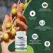 East Park Olive Leaf Extract Super Strength d-Lenolate 500mg | Immune System Booster with 18% Oleuropein | 60 Vegetarian Capsules - Buy Online on GoSupps.com