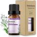 GREENSLEEVES Verbena Essential Oil 10ml - Organic, Pure, and Aromatic - Buy Online on GoSupps.com