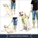 Pioneer Petcore 6ft Dog Lead - Heavy Duty Reflective Dual Handle Leash for Large and Medium Dogs - Green - Buy Online on GoSupps.com