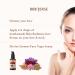 Buy Organic Netra Kumkumadi Tailam | Ayurvedic Face Oil for Glowing Skin Reduces Pigmentation & Dark Spots | Enriched with Vitamin E - 1.01 Oz - Buy Online on GoSupps.com
