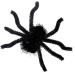 Halloween Spider Pins | Halloween Spider Shape Hairpins | Spider Barrettes Halloween Hair Accessories for Family Friends Women Black - Buy Online on GoSupps.com