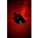 Tequila Noir 3.3 Oz Eau De Parfum For Men - Buy Online on GoSupps.com