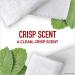 Old Spice High Endurance Hair & Body Wash for Men Crisp Scent 30 FL OZ, Pack of 4 - Buy Online on GoSupps.com