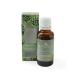 Soap & Paper Factory Roland Pine 1 oz Fragrance Oil