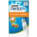 MULTIPLE Dentalife Dental Treats for Cats | Bundle of 6 | Chicken 40g x 3 and Salmon 40g x 3 - Buy Online on GoSupps.com