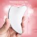 Buy Large Stainless Steel Gua Sha Facial Tool - Reduce Tension & Swelling with Dolphin-Shaped Schabemassage for Lymphatic Drainage - International Shipping Available - Buy Online on GoSupps.com