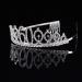 Minkissy 60th Birthday Tiara Crystal Crown Rhinestone Princess Birthday Crown Hair Accessories Happy 60th Birthday Crown Tiara for Women Ladies - Buy Online on GoSupps.com